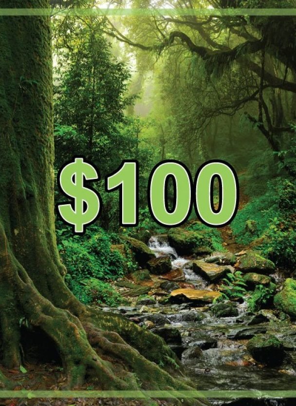 $100