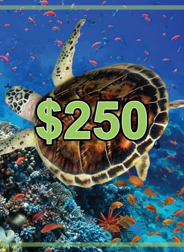 $250