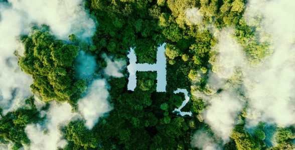A concept metaphorically depicting hydrogen as an ecological energy source in the form of a pond in the middle of a virgin jungle. 3d rendering.